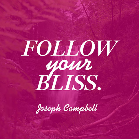 Follow Your Bliss…  My Vida Spa